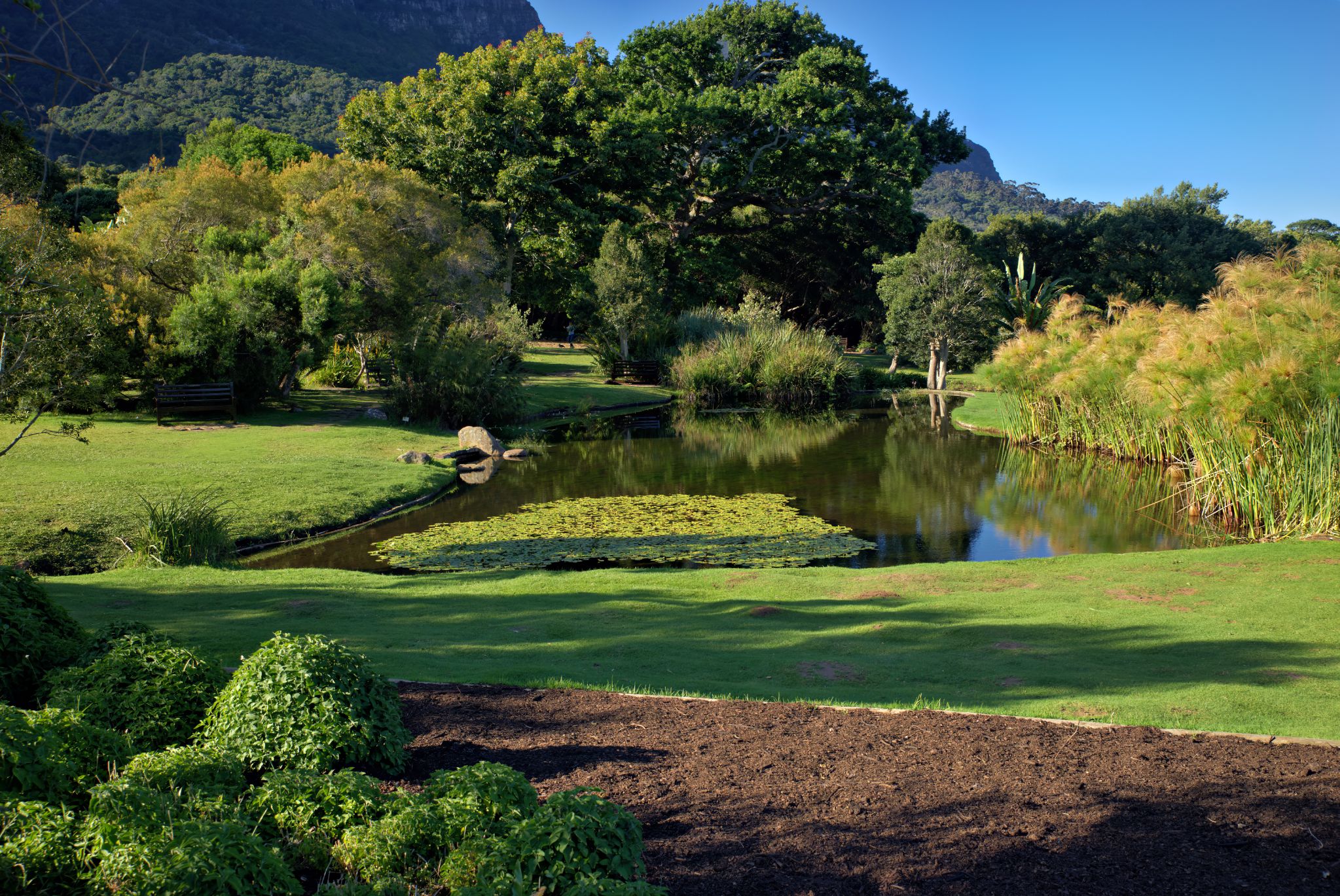 Botanischer Garten Kirstenbosch